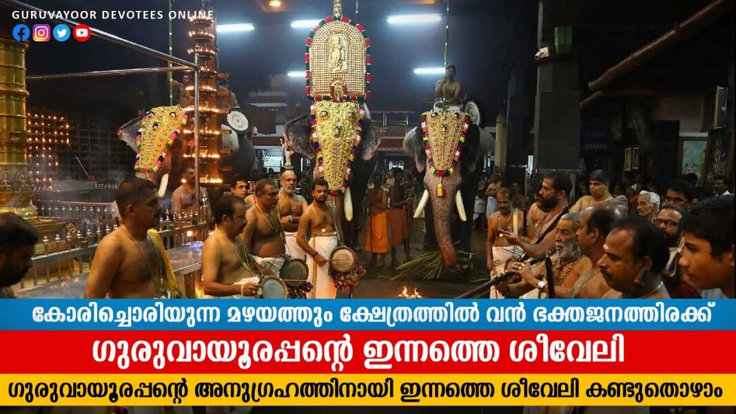 Shiveli and Morning Views of Guruvayur Temple | 24/05/2024 | Guruvayur Temple Morning Shiveli